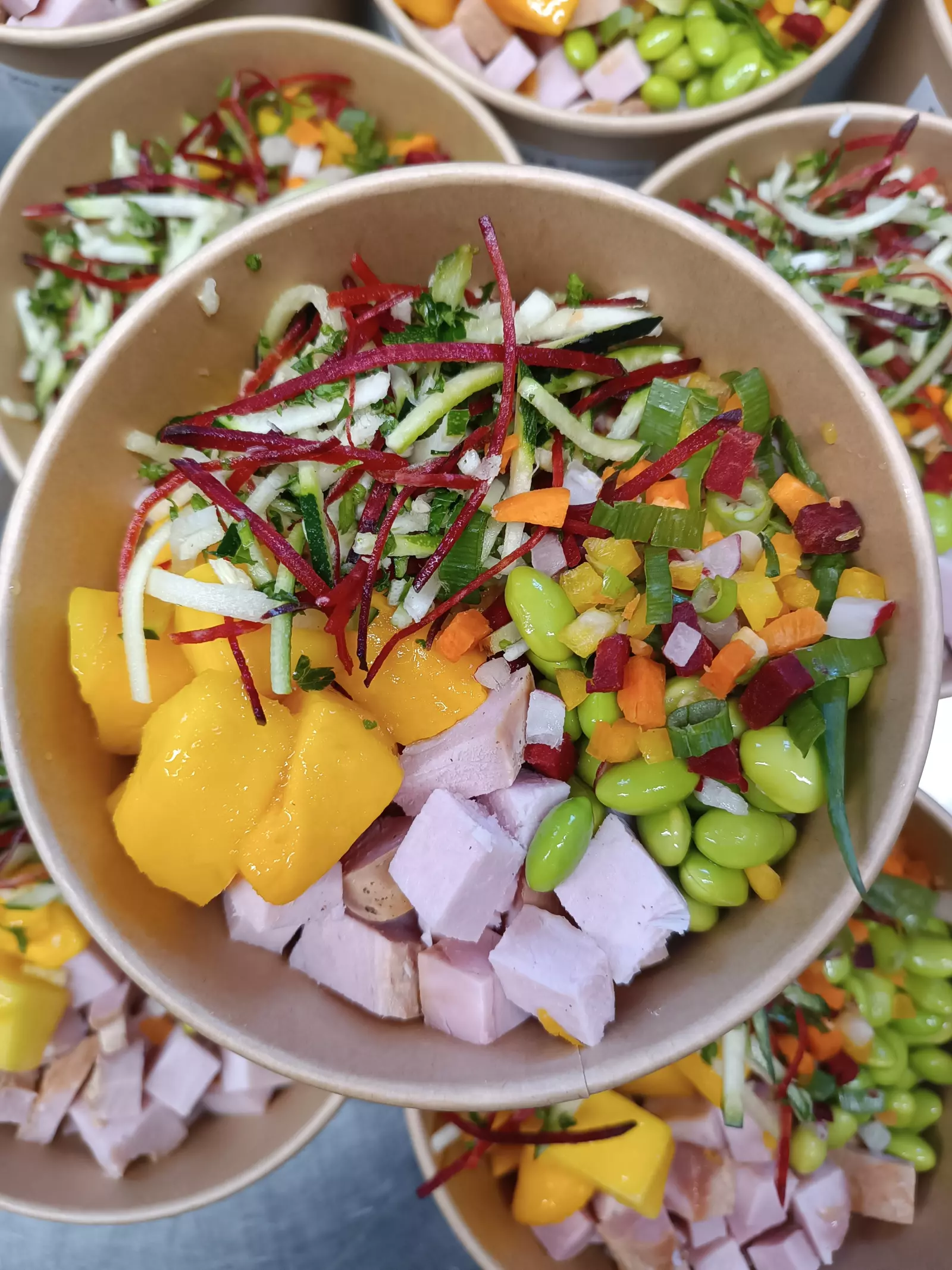 Photo du produit Bowl au porc, légumes, riz & fruits